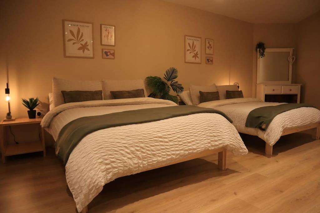 Modern Studio Apartment In Cashel Cashel  Eksteriør bilde